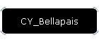 CY_Bellapais